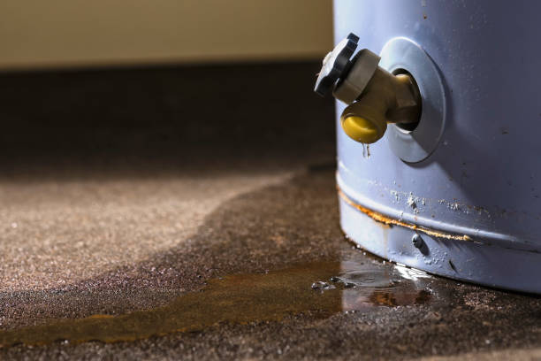 Carpet water damage restoration in ND