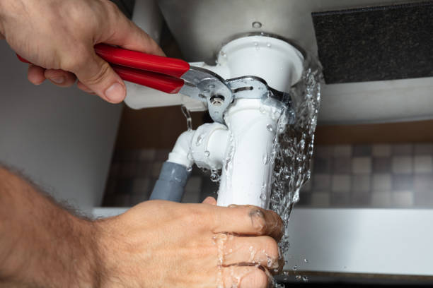 Best Flood restoration services  in Fargo, ND