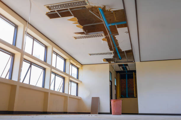 Best Flood damage cleanup  in Fargo, ND