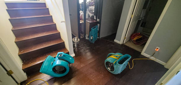 Best Emergency water damage restoration  in Fargo, ND
