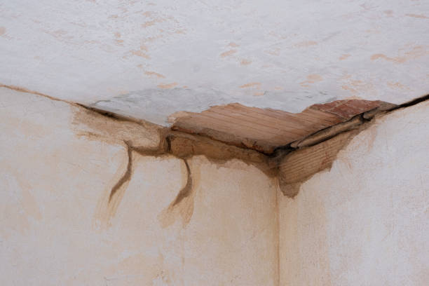 Water damage restoration mold remediation in ND