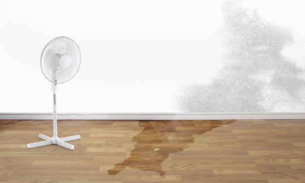 Carpet water damage restoration in ND