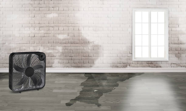 Best Local water damage restoration  in Fargo, ND