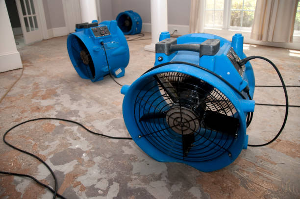 Best Residential water damage restoration  in Fargo, ND