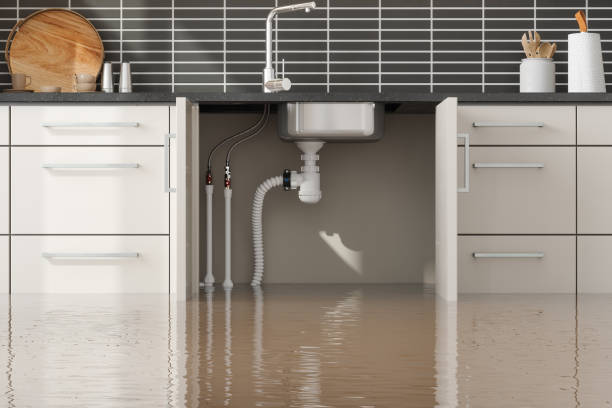  Fargo, ND Water damage restoration Pros